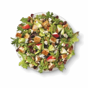 Wendy’s Menu With Prices (Latest November 2026 Update) 79 Apple Pecan Salad
