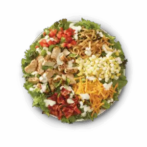 Wendy's Salad Menu with Prices ( November 2025 Updated) 2 Parmigiano caesar salad